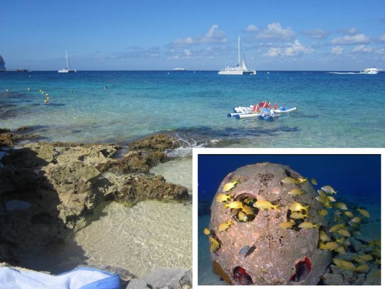 7 Best (and Free) Beaches Near Cozumel Cruise Port