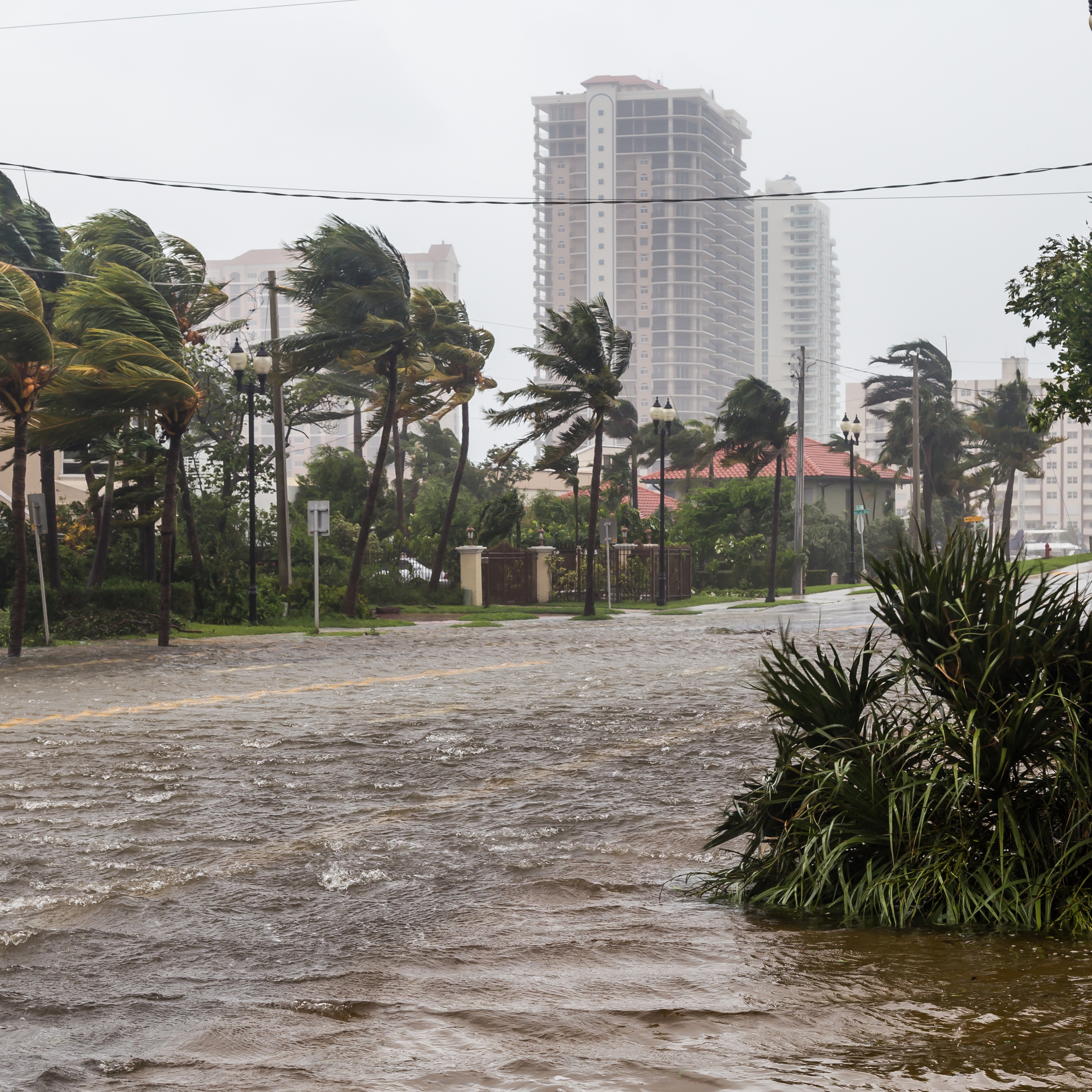 AdobeStock 171083541
A powerful tropical storm approaches Fort Lauderdale, Florida, with dark, swirling clouds and turbulent ocean waves, capturing the intensity of Hurricane Irma's impact on the coastal city.
Hurricane storm clouds over the ocean near a city shoreline.