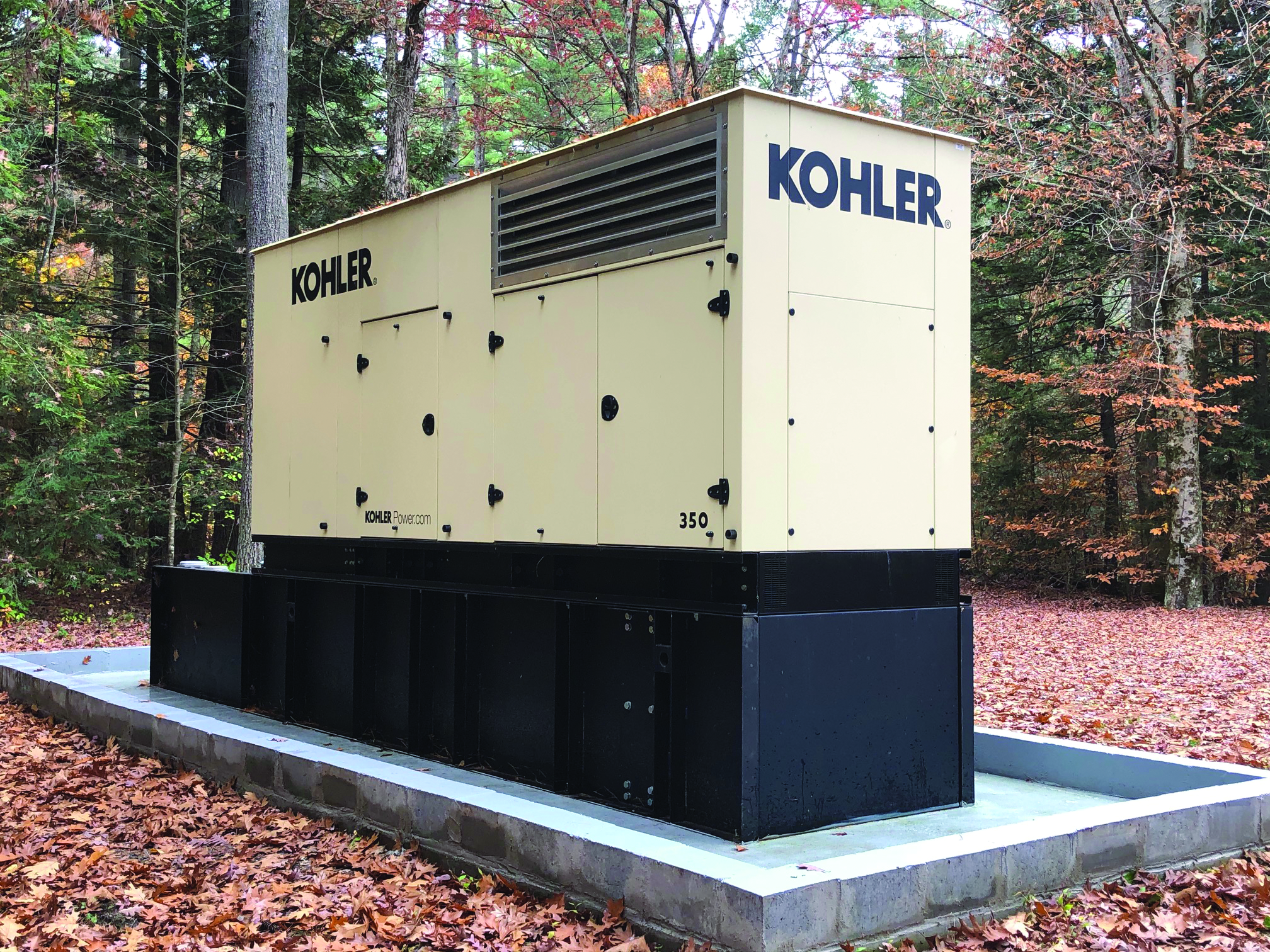 Generator fall leaves