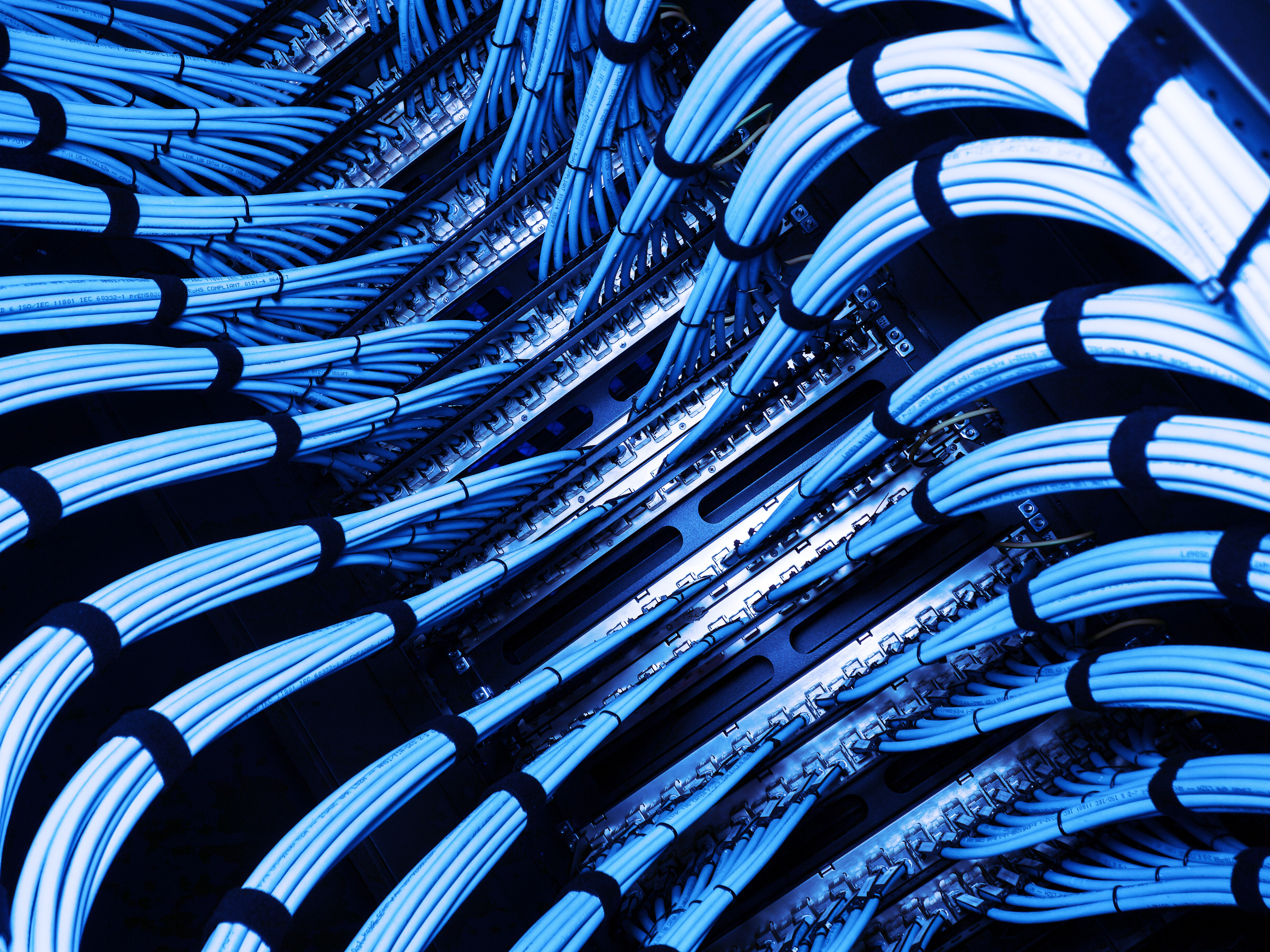 Close up of ethernet cables bundled to be connected to a data center.
