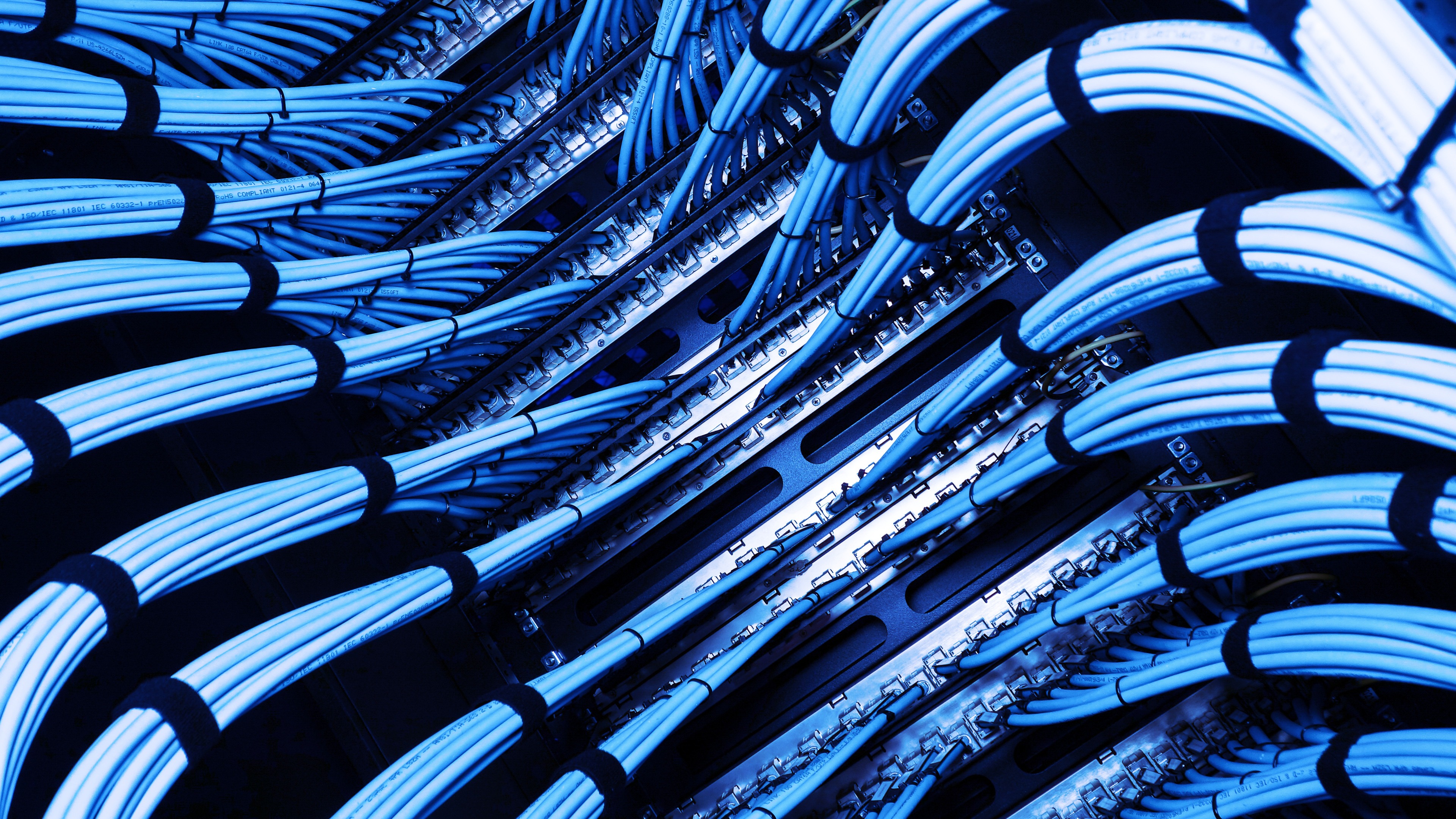 Close up of ethernet cables bundled to be connected to a data center.