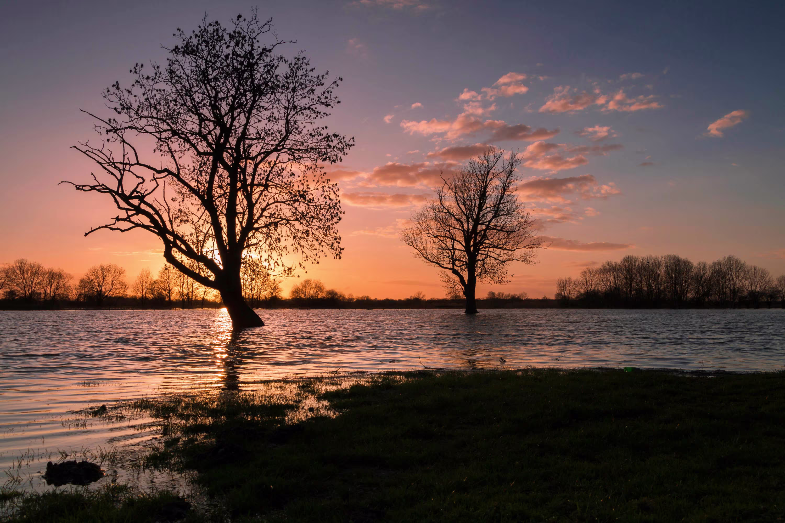 A lone tree silhouetted in front of a richly colored sunrise or sunset while surrounded by flood waters.
