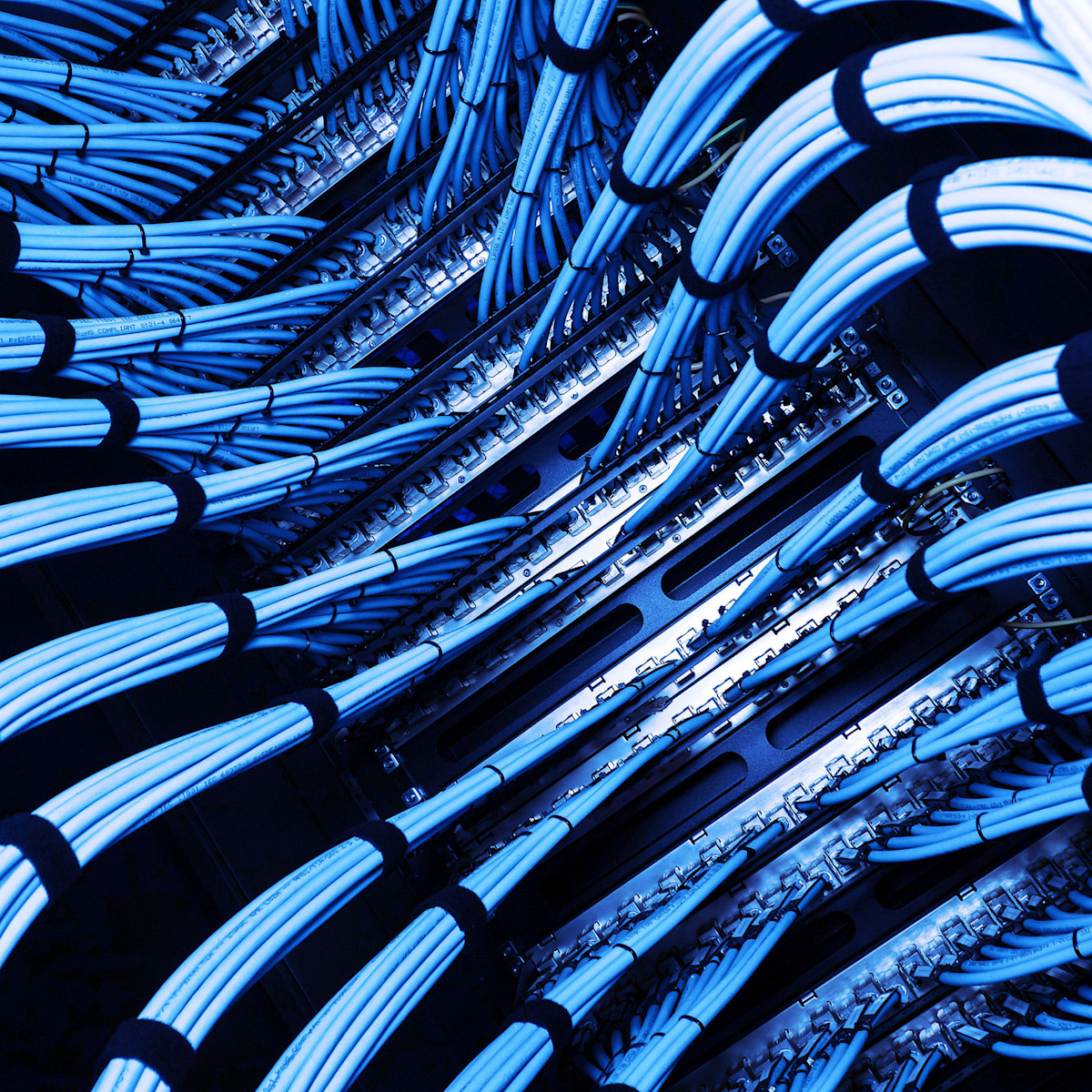 Data Center cable / wires in blue