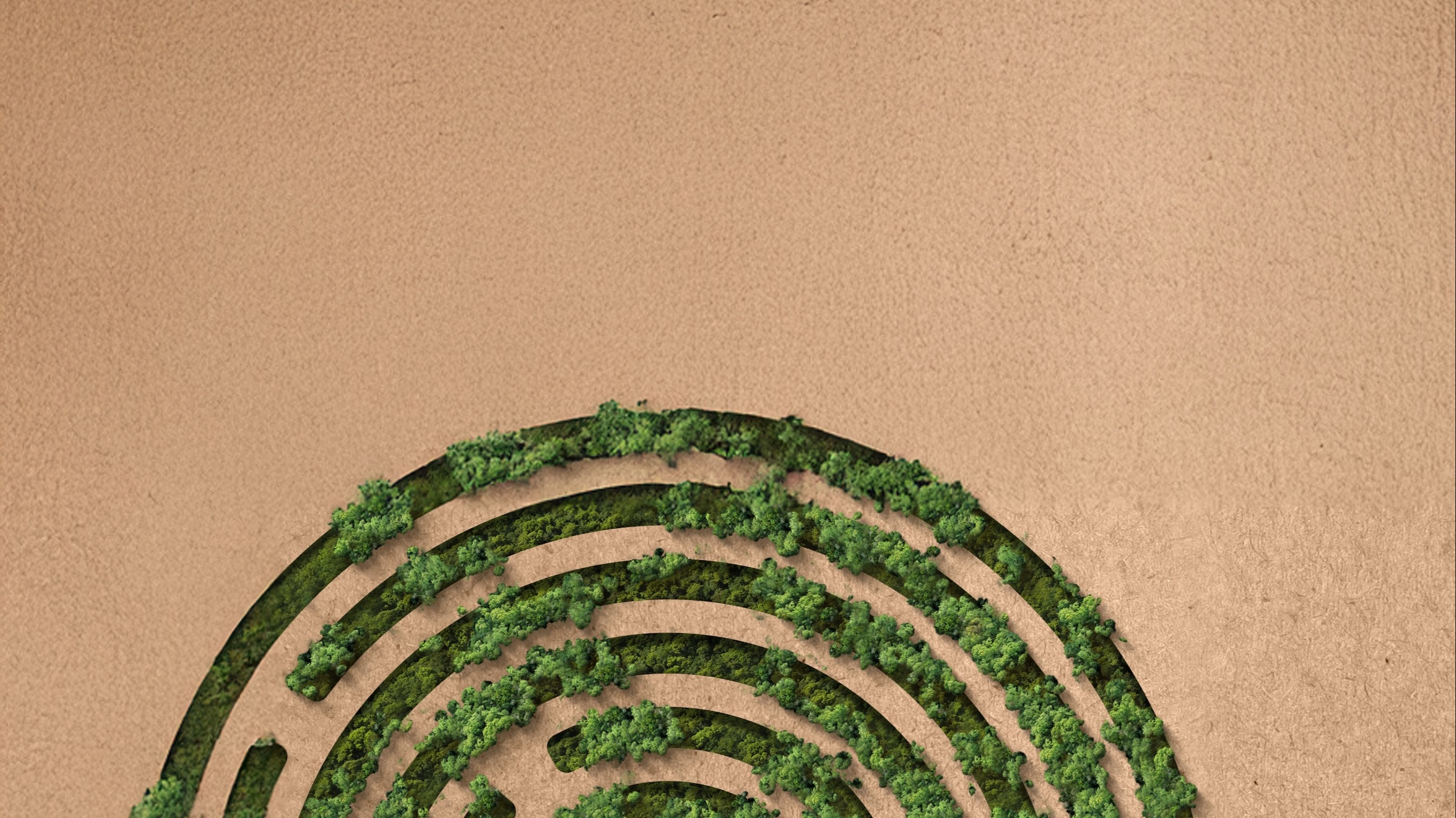 Part of a hedge maze resembling a fingerprint.