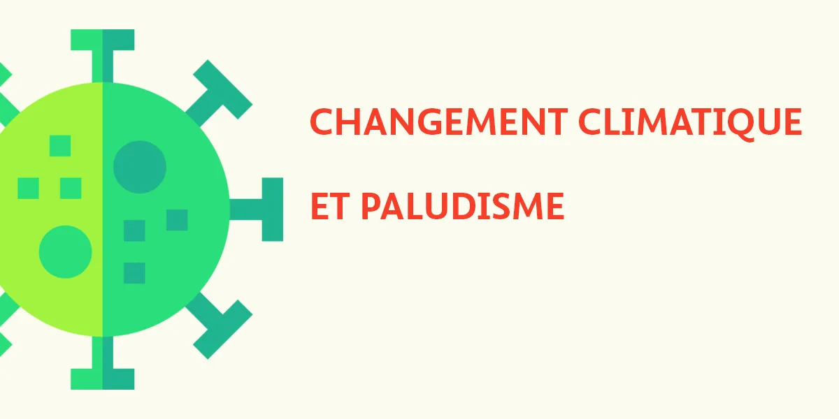 Paludisme - mon stage infirmier