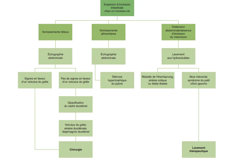 Stratégie d’exploration d’une occlusion intestinale chez un nouveau-né.