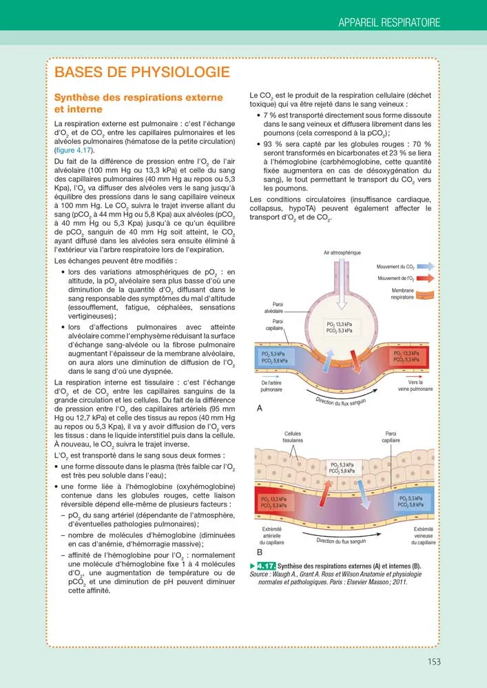 physiologie respiration