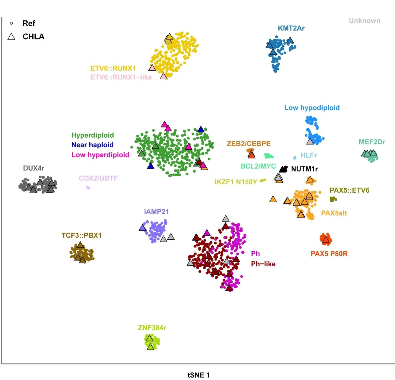 Diagram showing gene expression profile distribution and B-acute lymphoblastic leukemia (B-ALL) subtypes of the study cohort