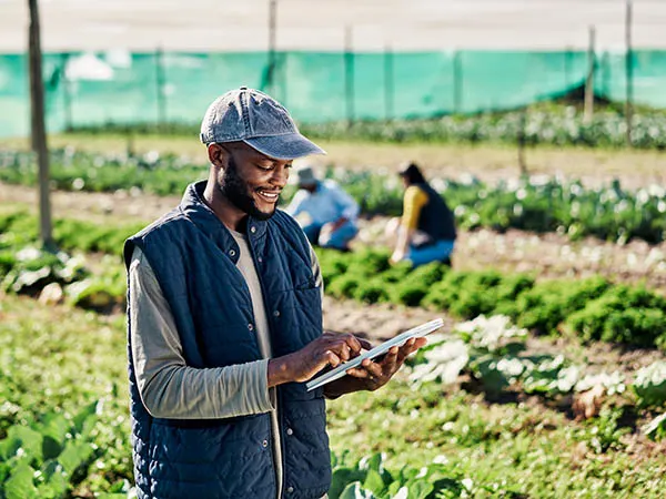 Photo depicting a farmer using a digital tablet while working on organic sustainable farm to cultivate vegetation in agribusiness. (pixdeluxe/E+ via Getty Images)