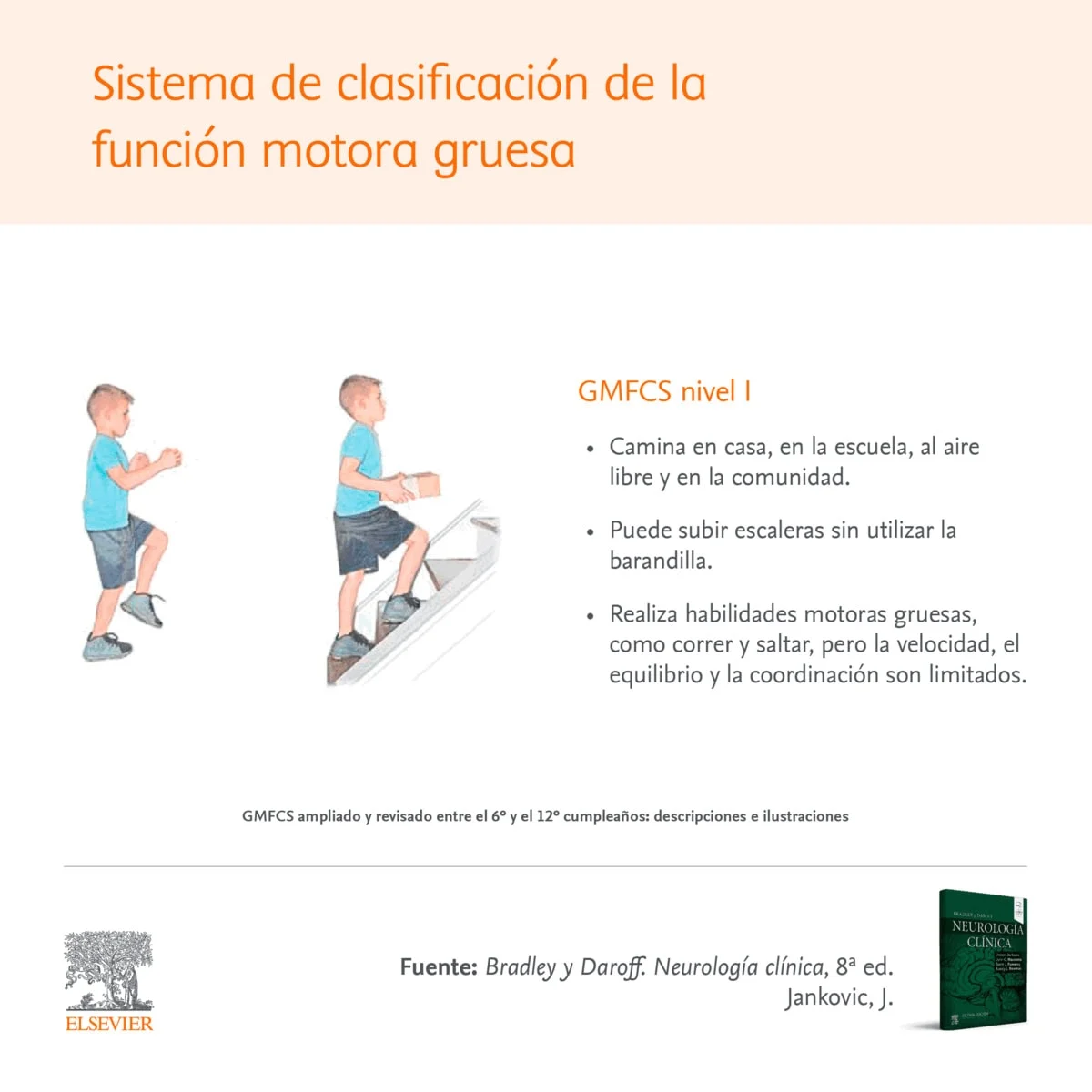 Infographic: Sistema de clasificatión de la función motora gruesa