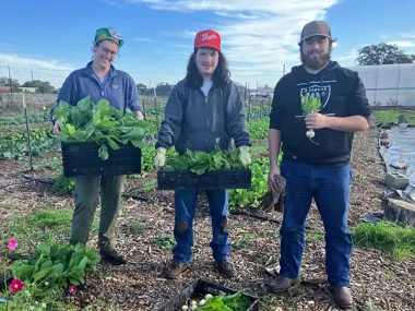 Agricultural Sciences students Molly Brown, Sid Frank and Luke Orona harvest vegetables while experientially learning about horticulture and soil science at Texas State University’s Bobcat Farm. (Photo by Nicole Wagner)
