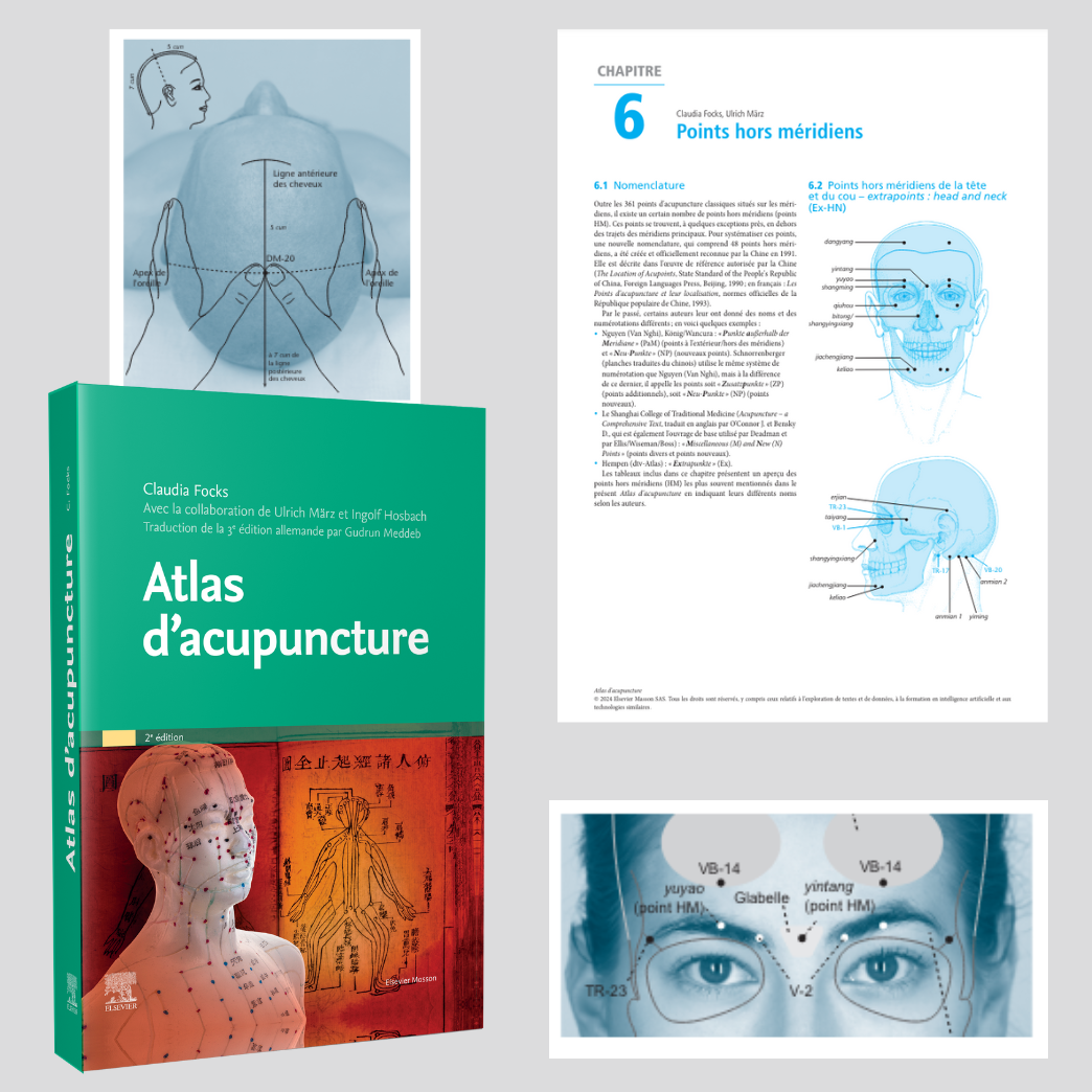 Cahiers cliniques d'acupuncture N°7 - ORL main image 0