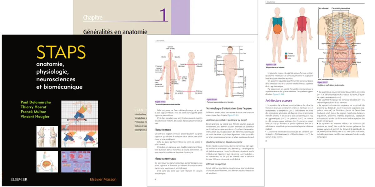 Le manuel de formation en anatomie