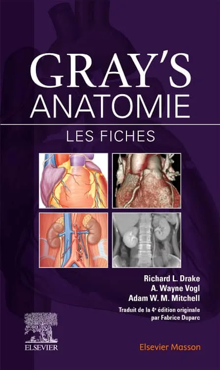 Gray's Anatomie - Les fiches