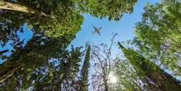 © istock.com/yalcinsonat1