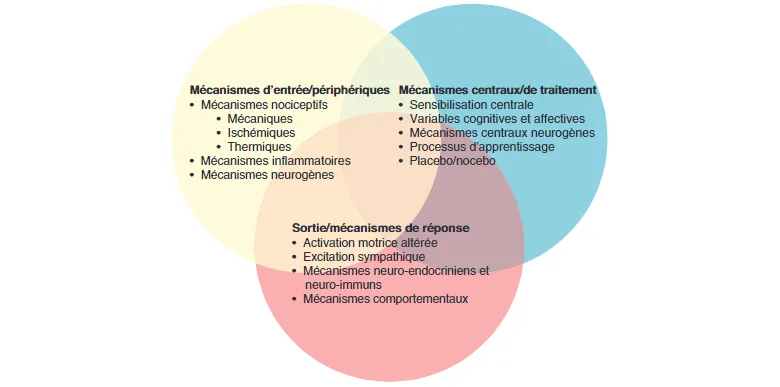 Des mécanismes clés qui peuvent sous-tendre un état de douleur.