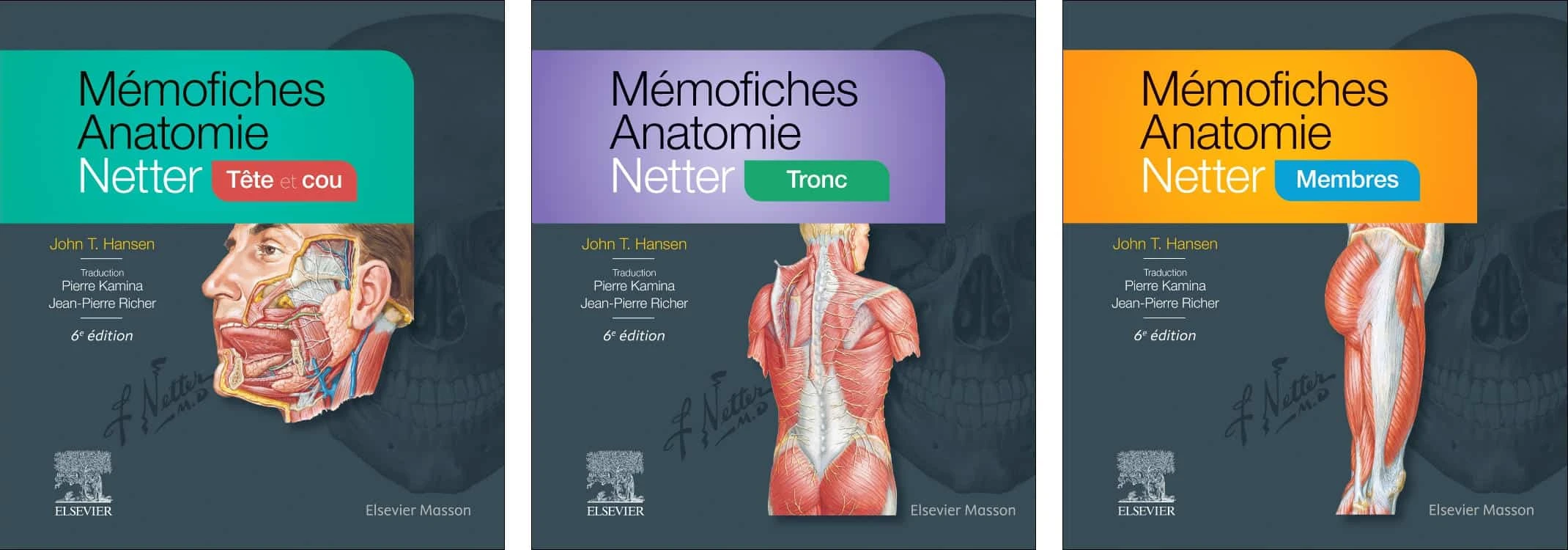 Mémofiches Anatomie Netter : Tête et cou ; Tronc ; Membres