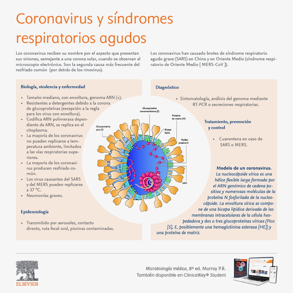 Las 6 Preguntas Clave (y Sus Respuestas) Sobre El Coronavirus