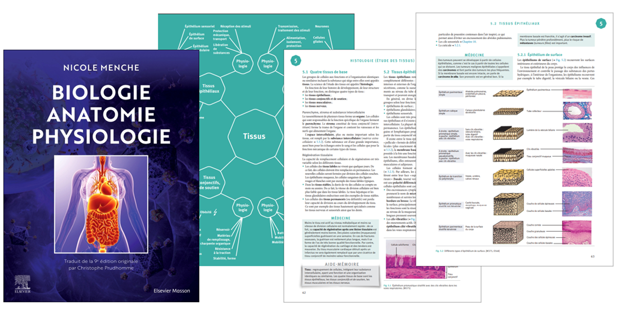 Biologie Anatomie Physiologie Pour Les étudiants Et Les Soignants