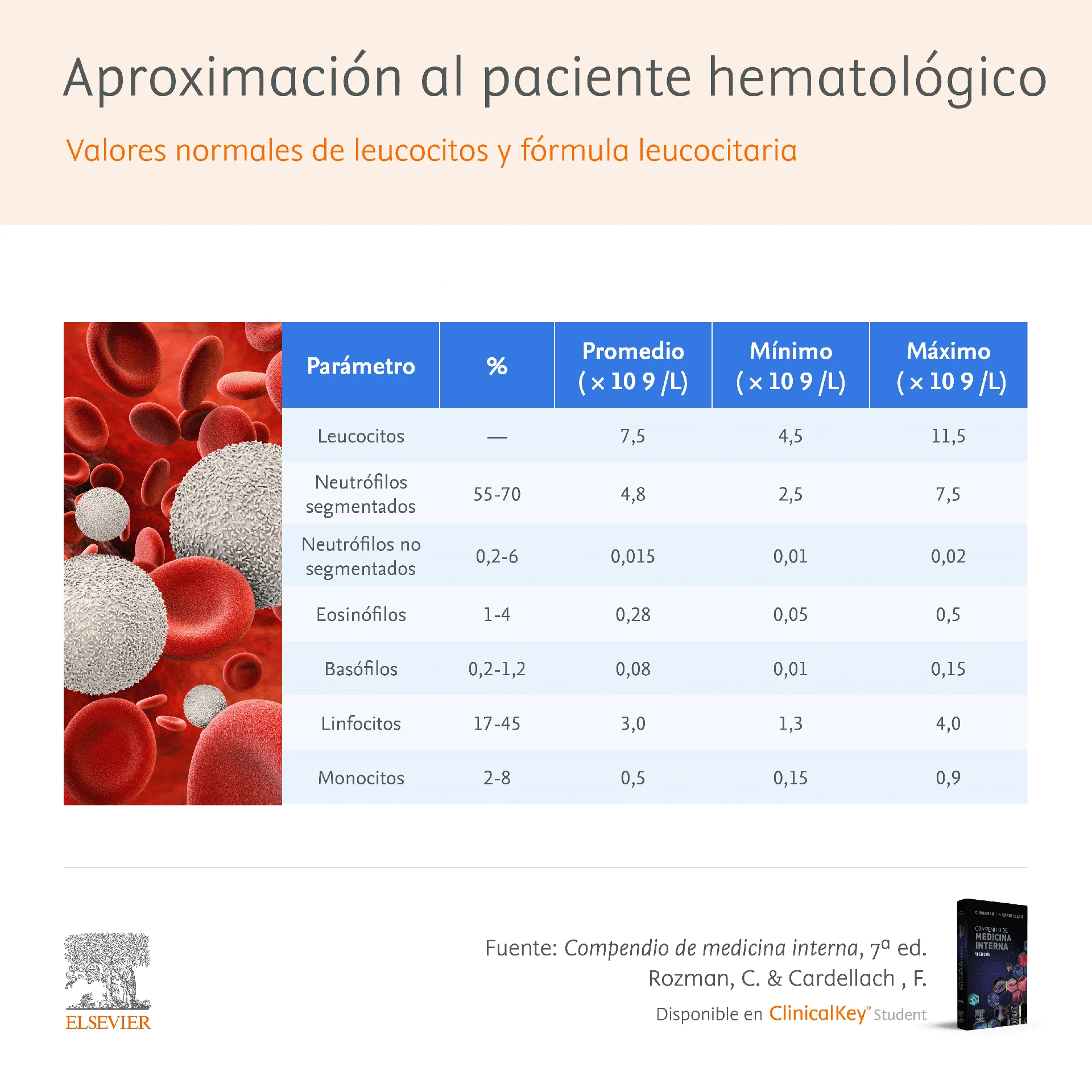 Infografia SLM Aproximacion Paciente hematologico Rozman