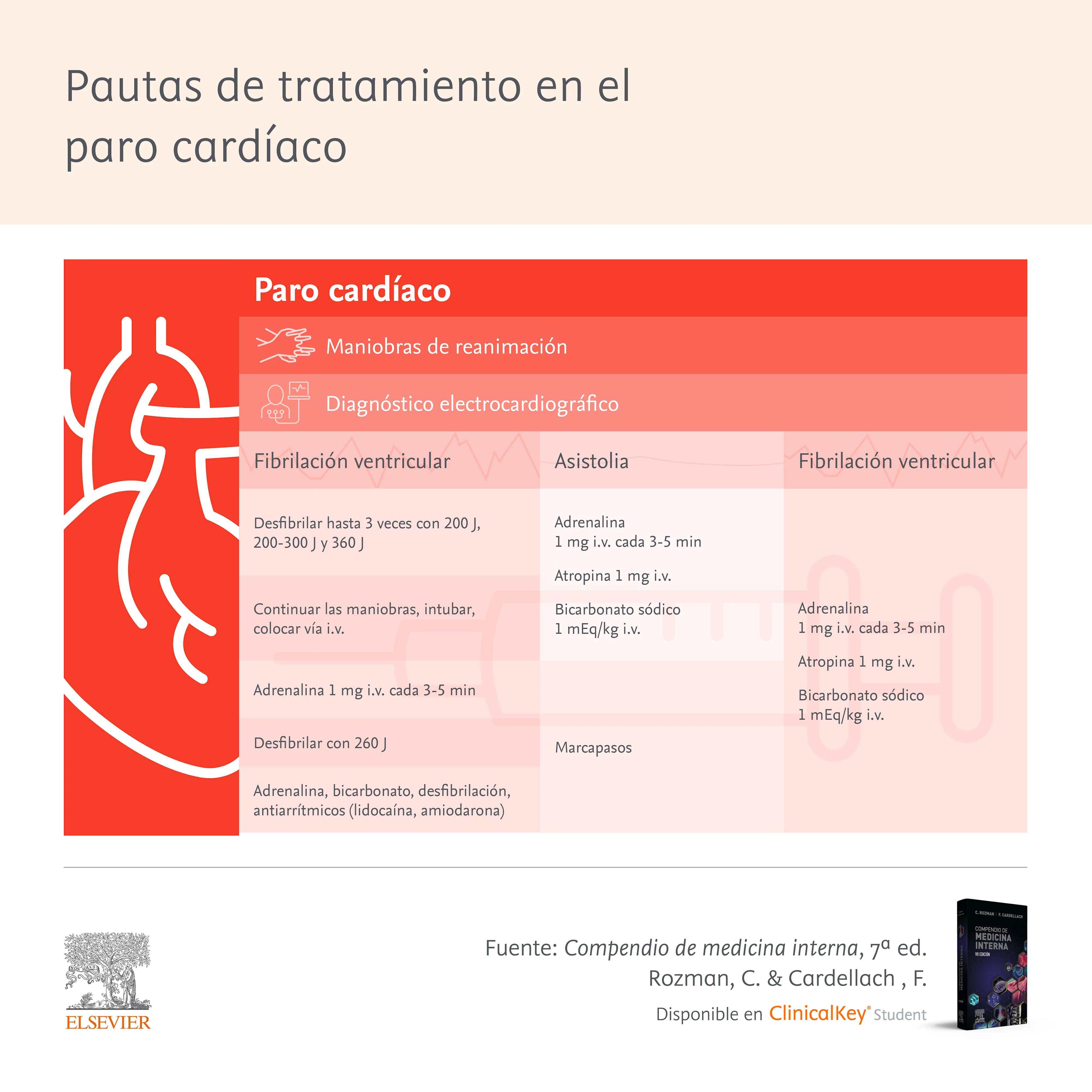 Infografia: Pautas de tratamiento en el paro cardíaco