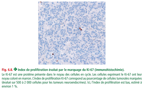 Référentiel Anatomie Et Cytologie Pathologiques édition 2023