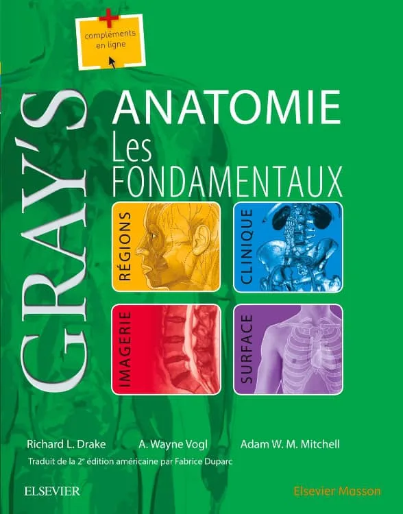 Gray-s Anatomie - Les fondamentaux