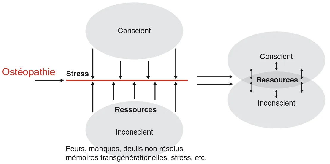L’ostéopathie peut agir sur les stresseurs