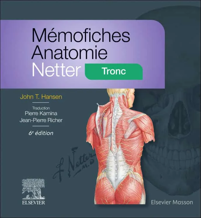 Mémofiches Anatomie Netter : Tronc