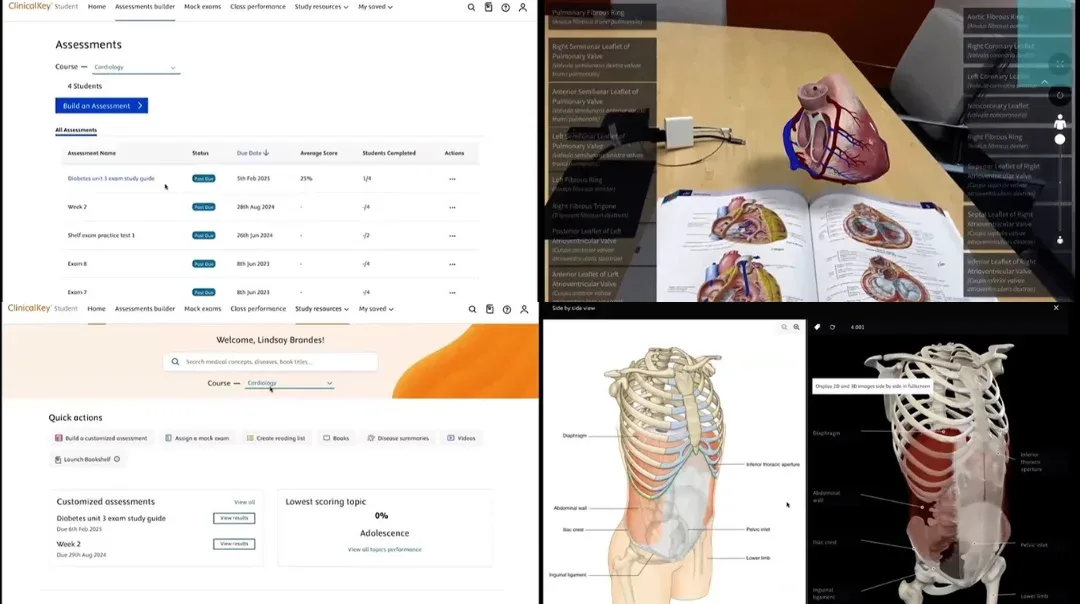 Sometimes, a 2D image just isn’t enough to grasp the relationship of anatomical structures.  