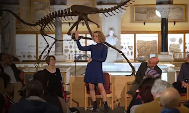 Tracey brown OBE with panels