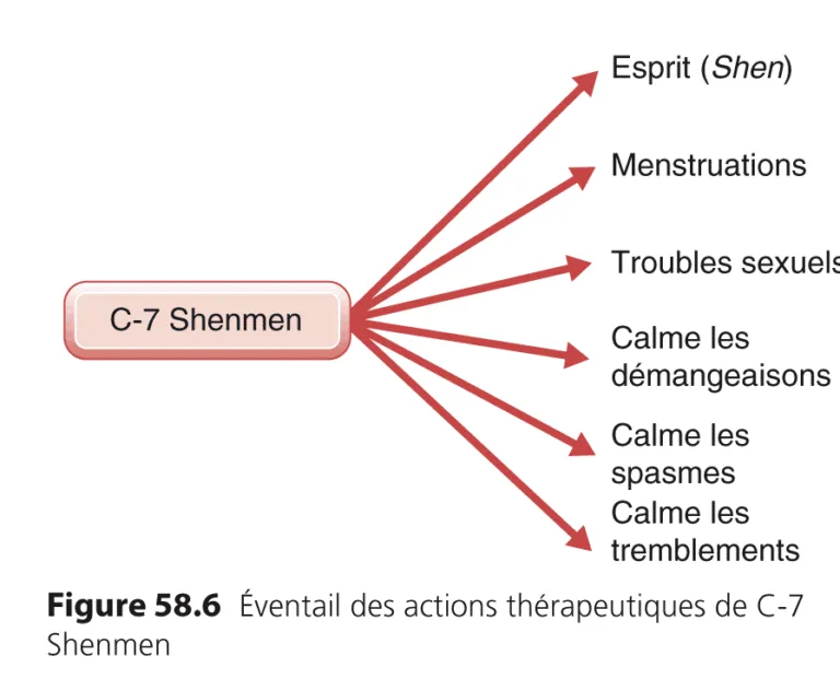 Le-meridien-du-Cur-12