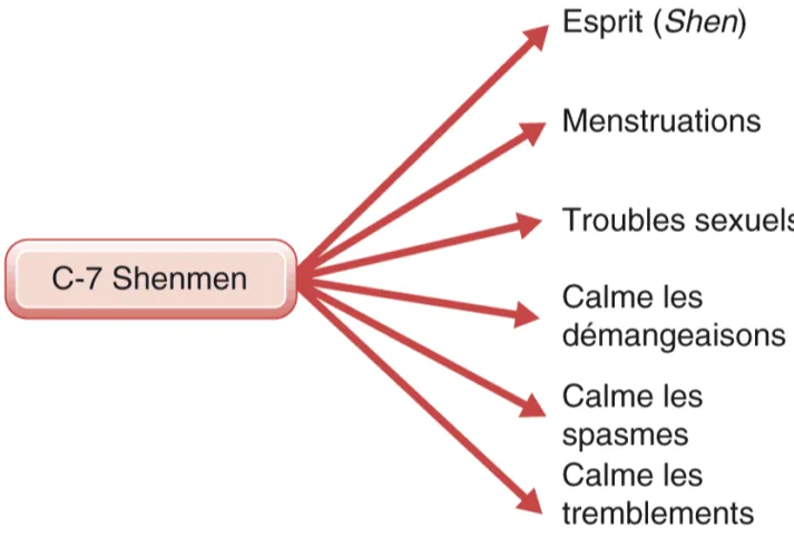 Éventails des actions thérapeutiques de C-7 Shenmen