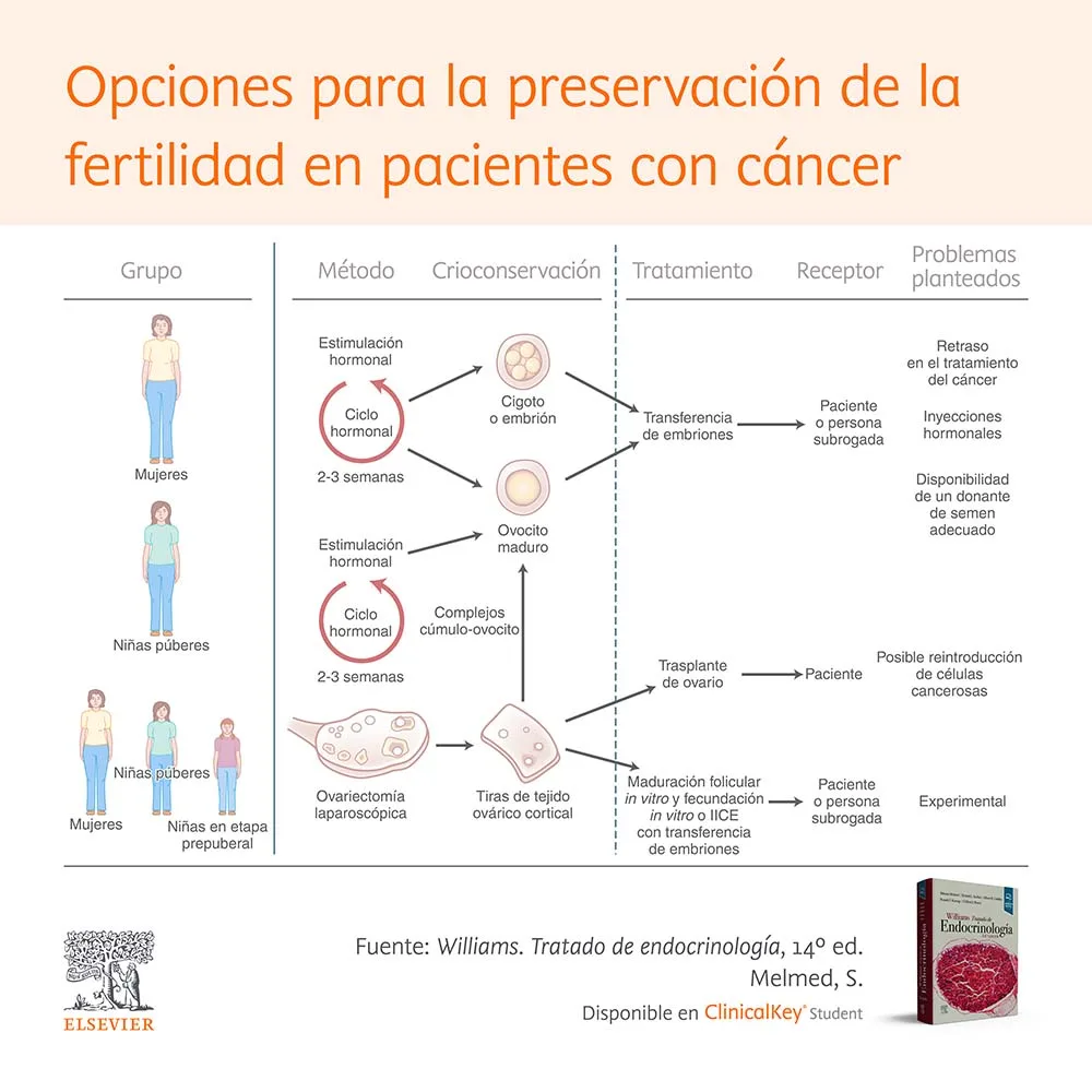 SLM Infografia Layout