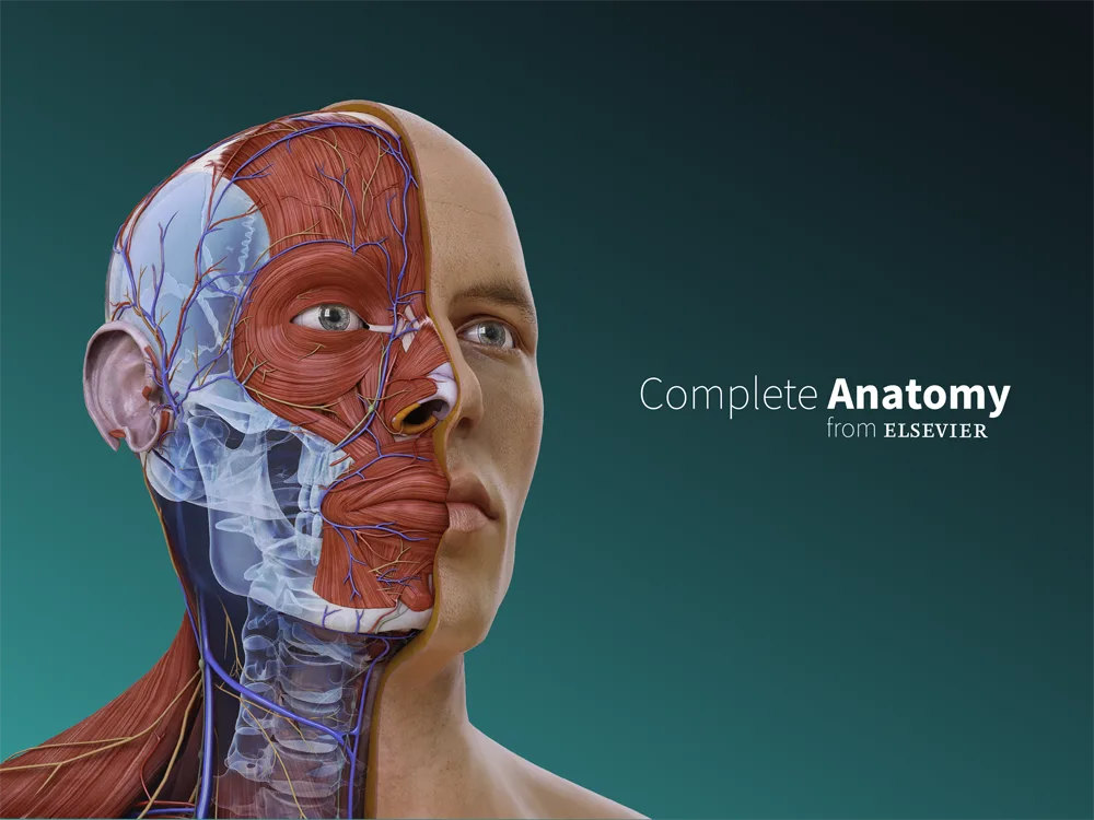 Complete Anatomy by Elsevier