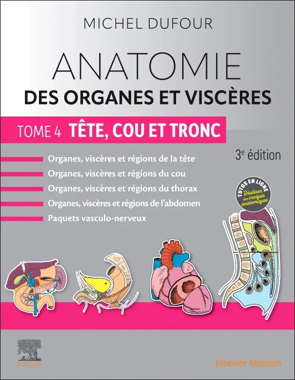 Anatomie des organes et visceres - Tête, cou et tronc