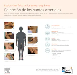 Infografia Palpacion puntos arteriales
