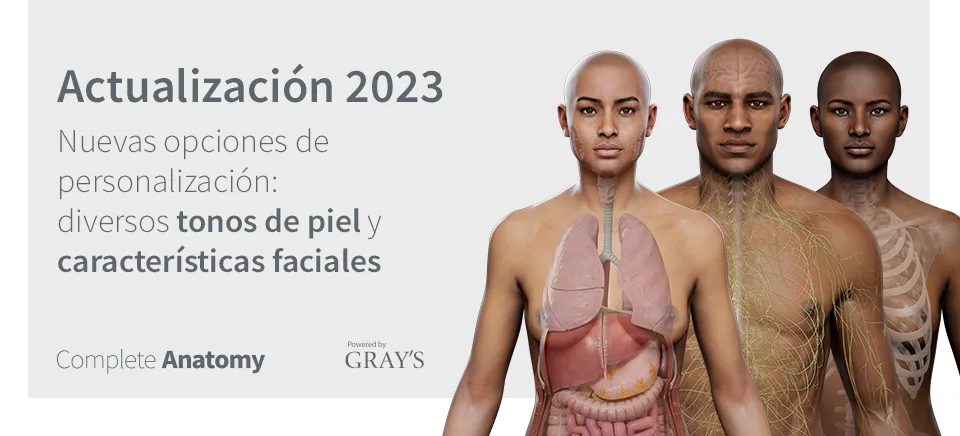 Complete Anatomy 2023 : Actualización para una mejor representación de la diversidad humana