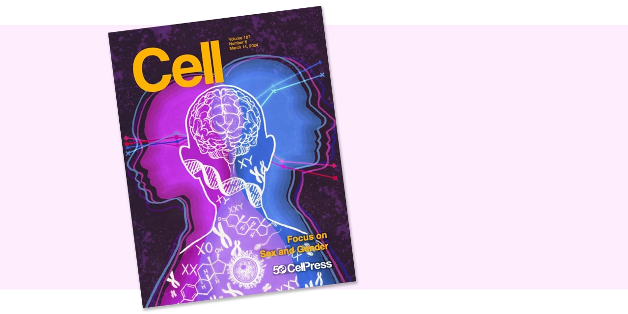 Cover of Cell focus issue on sex and gender (March 2024)