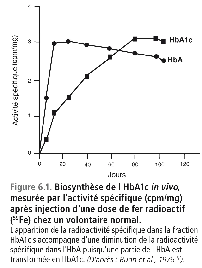 Discordance entre HbA1c et résultat de l'autosurveillance glycémique