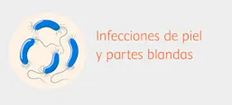 Infecciones de la piel