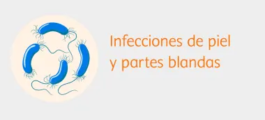 Infecciones de la piel