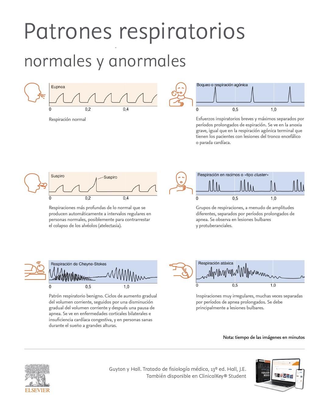 patrones de respiración respiratoria