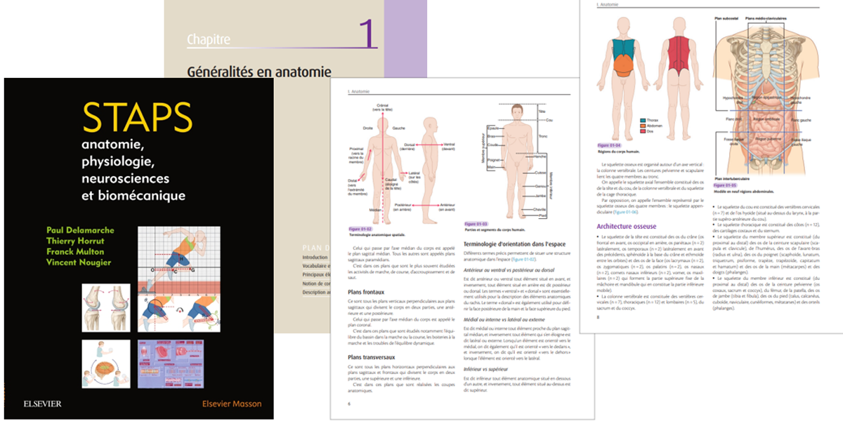 Le corps humain - anatomie - physiologie