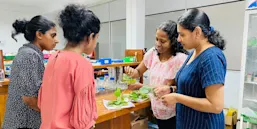 Prof Renuka Attanayake shows diseased strawberry plant samples to her research team. Recently, growers started sending them disease samples for diagnosis in their laboratory.