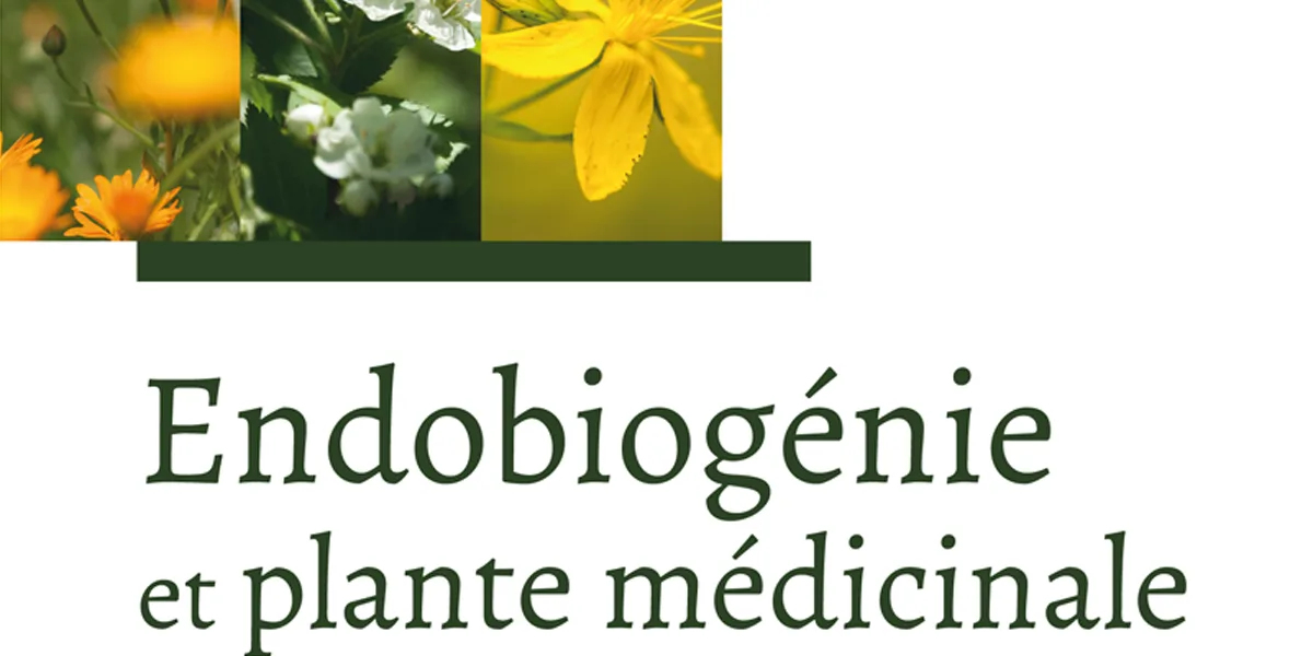 Banner - Endobiogénie et plante médicinale