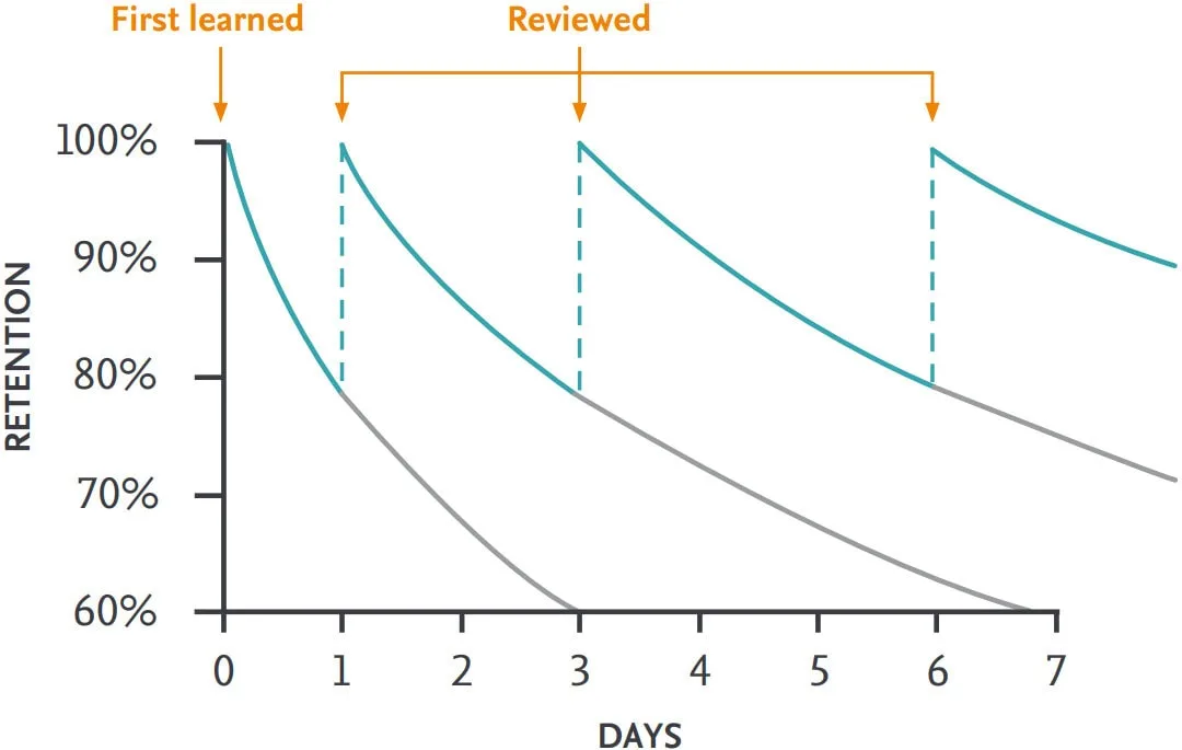 Typical forgetting curve for newly learned information