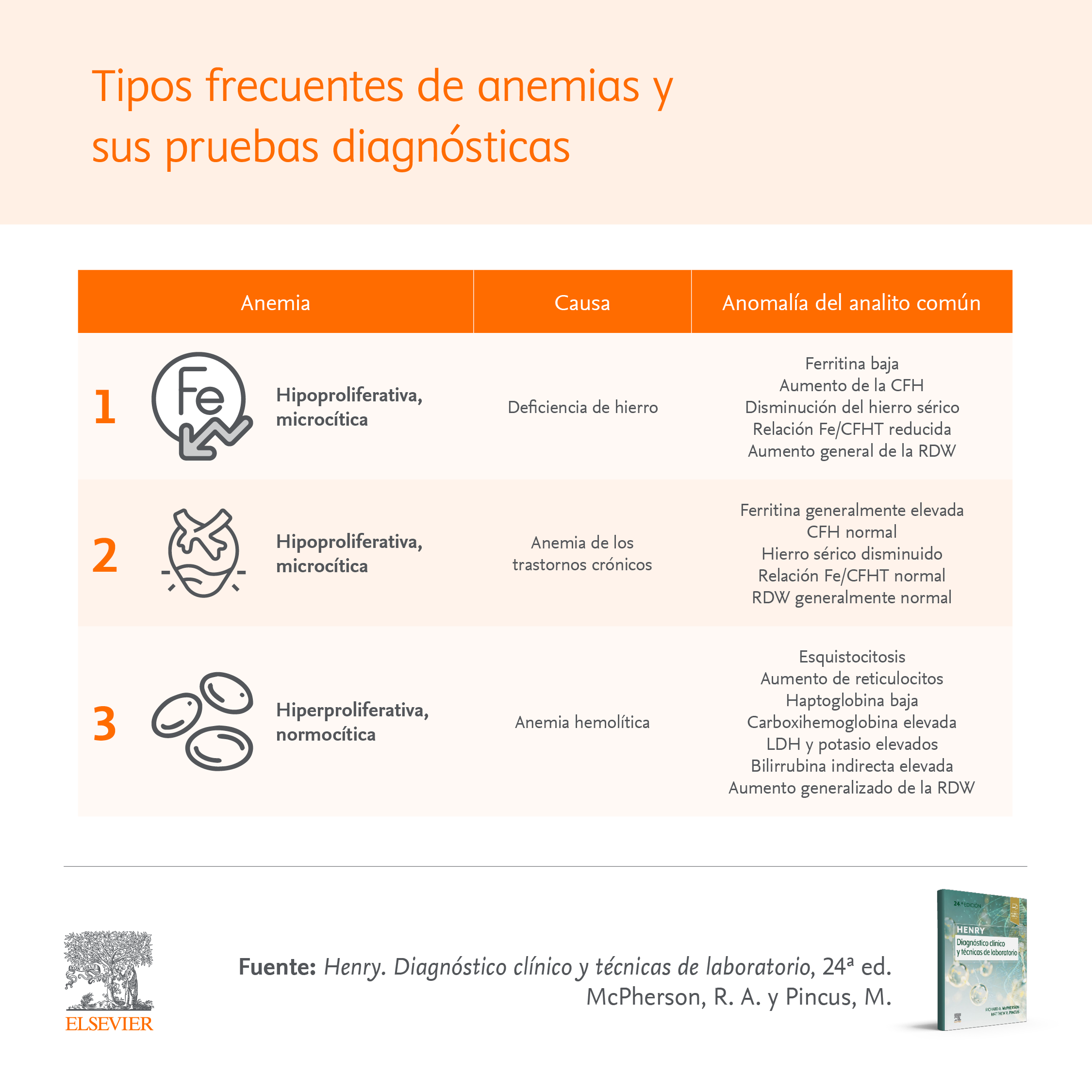 Anemia: Disminución Del Transporte De Oxígeno.