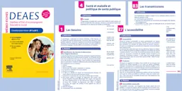 Mémo-fiches Diplôme d'Etat d'Accompagnant Educatif et Social