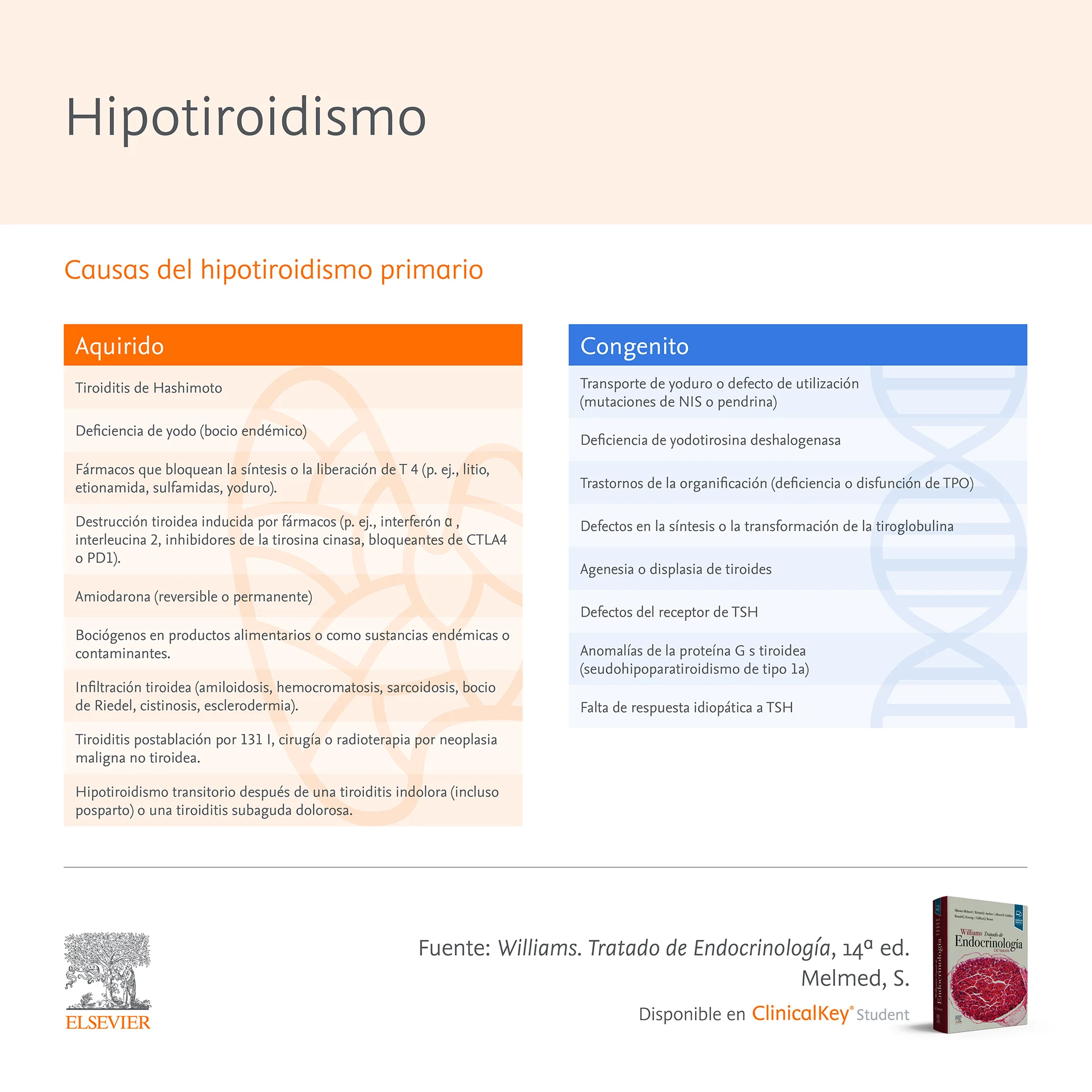 Infografia SLM Williams Hipotiroidismo 1